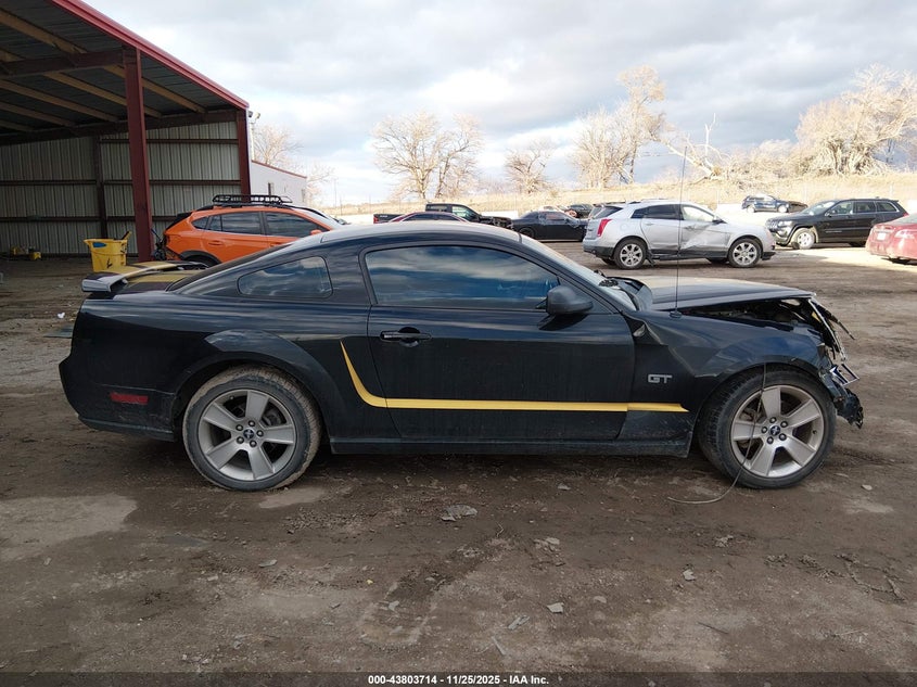 2006 Ford Mustang Gt VIN: 1ZVFT82H765247687 Lot: 43803714