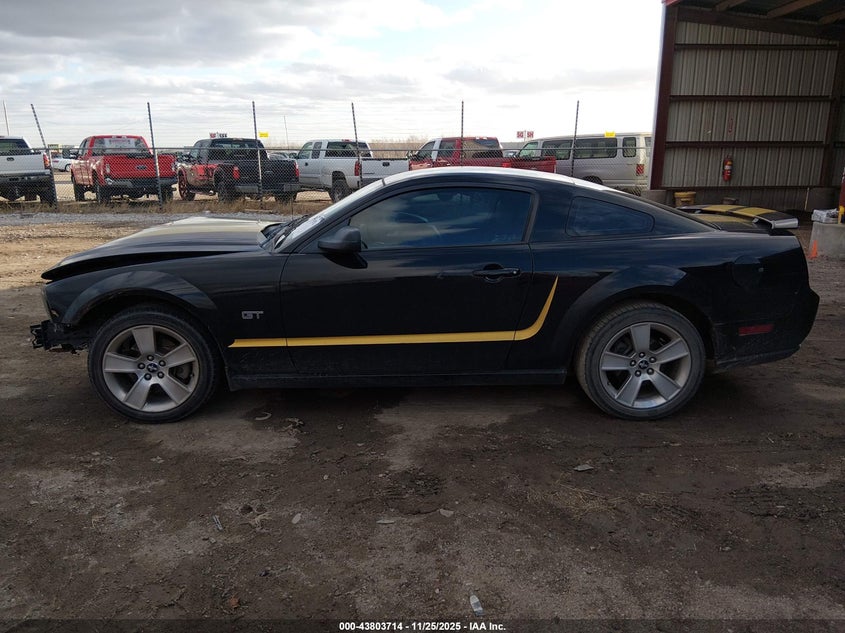 2006 Ford Mustang Gt VIN: 1ZVFT82H765247687 Lot: 43803714