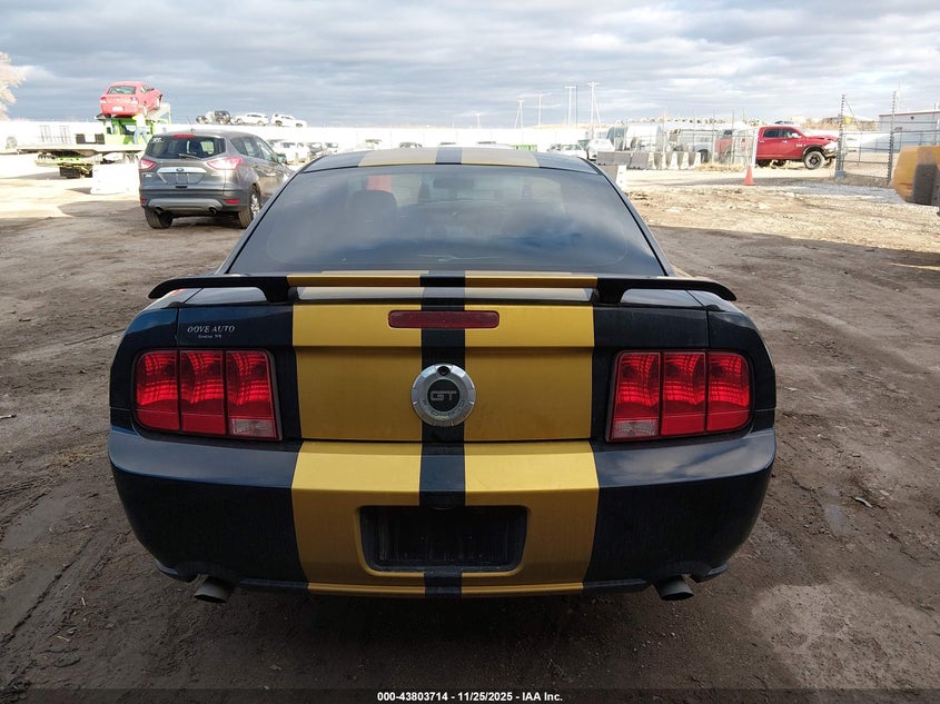 2006 Ford Mustang Gt VIN: 1ZVFT82H765247687 Lot: 43803714