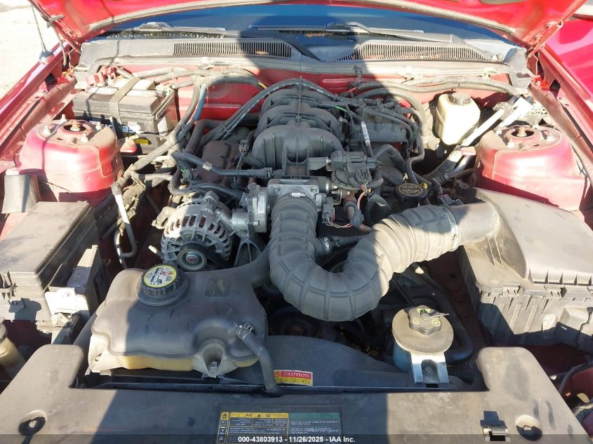 2008 Ford Mustang V6 Deluxe/V6 Premium VIN: 1ZVHT80N085166177 Lot: 43803913