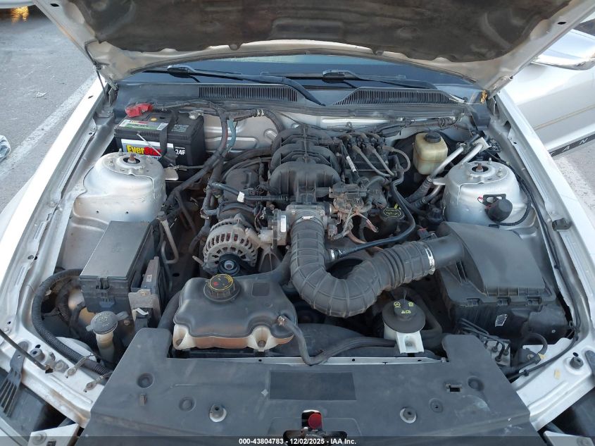 2008 Ford Mustang V6 Deluxe/V6 Premium VIN: 1ZVHT80N985190185 Lot: 43804783