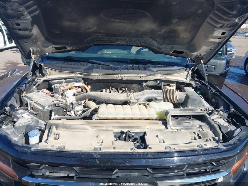 2024 Ford F-150 Xlt VIN: 1FTFW3LD8RFA47909 Lot: 43805236