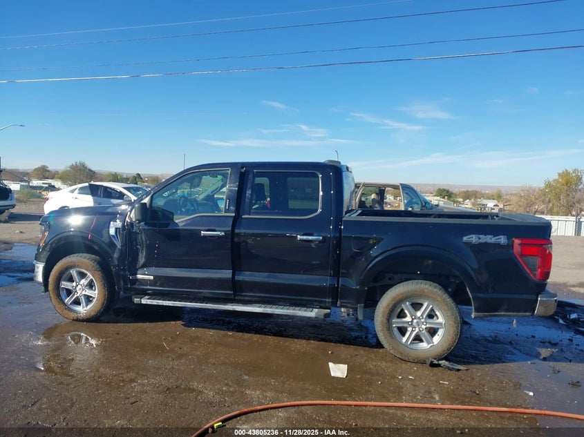 2024 Ford F-150 Xlt VIN: 1FTFW3LD8RFA47909 Lot: 43805236