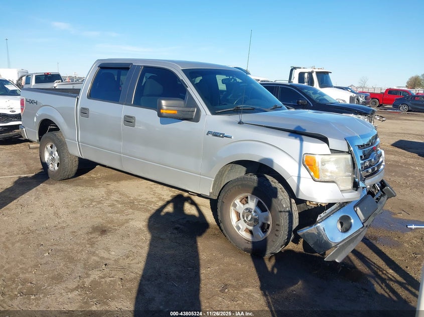 FORD F-150 XLT