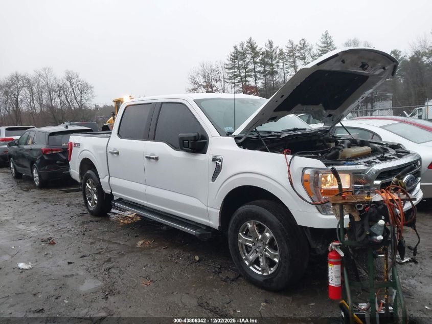 FORD F-150 XLT