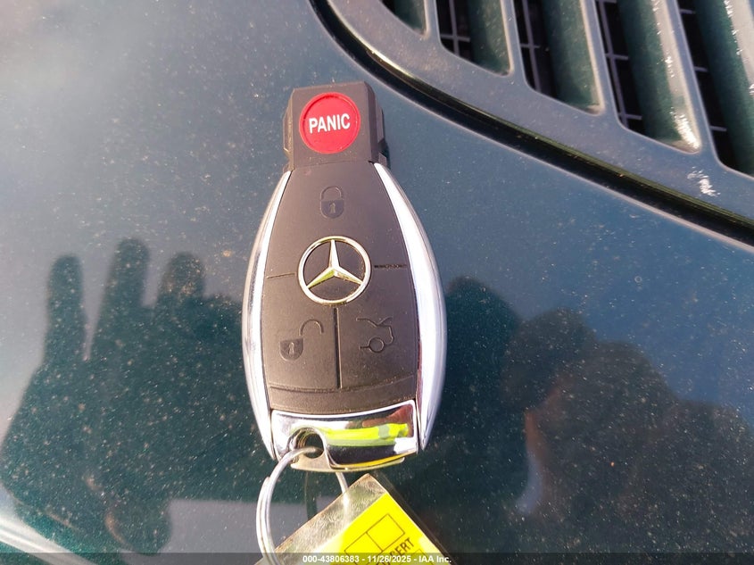 2007 Mercedes-Benz S 600 VIN: WDDNG76X87A082875 Lot: 43806383