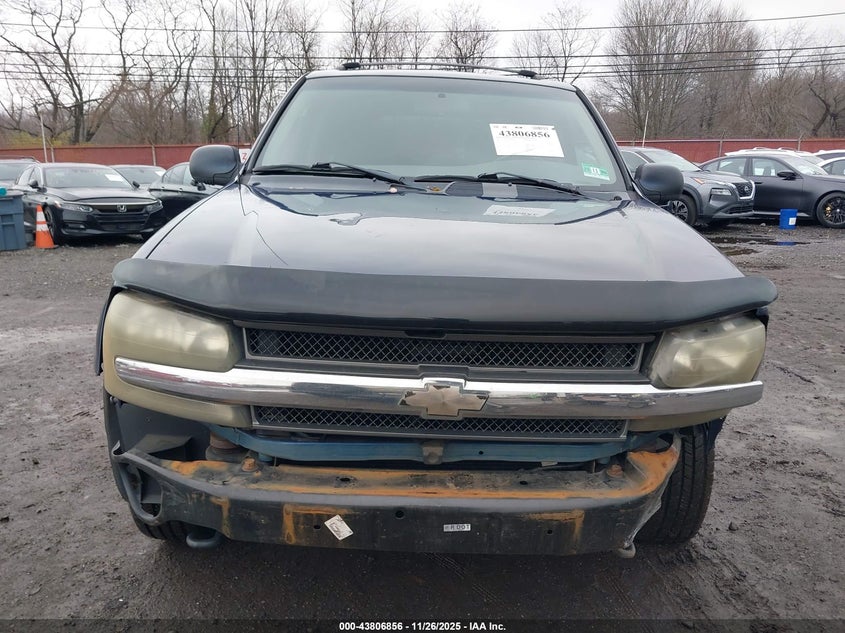 2003 Chevrolet Trailblazer Ls VIN: 1GNDT13S232355716 Lot: 43806856