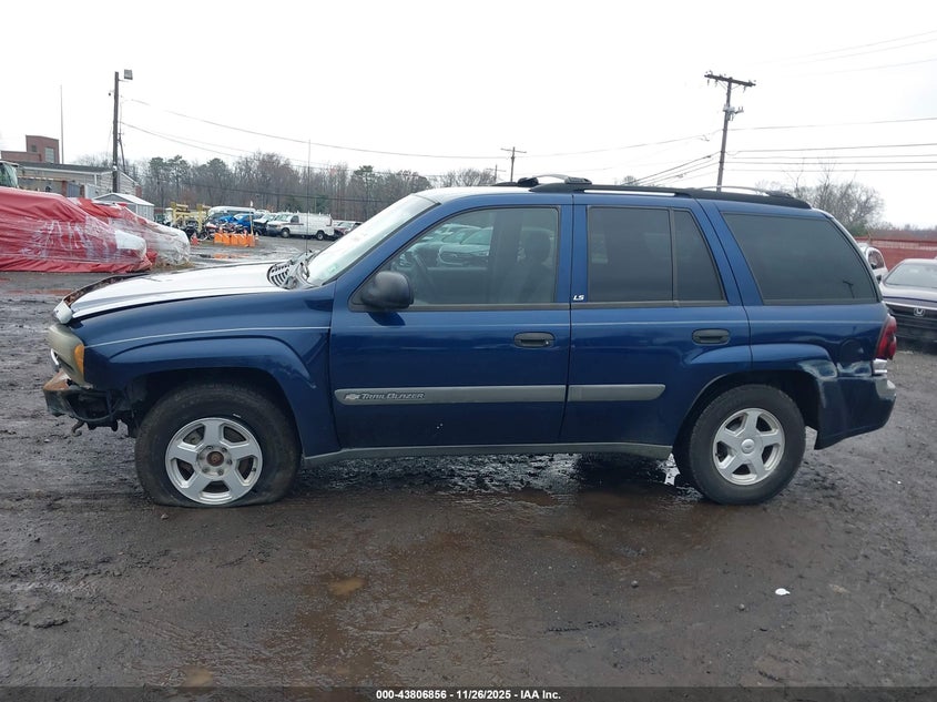 2003 Chevrolet Trailblazer Ls VIN: 1GNDT13S232355716 Lot: 43806856