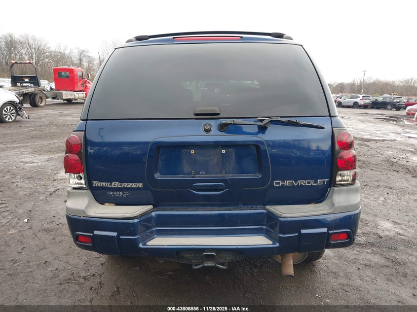 2003 Chevrolet Trailblazer Ls VIN: 1GNDT13S232355716 Lot: 43806856