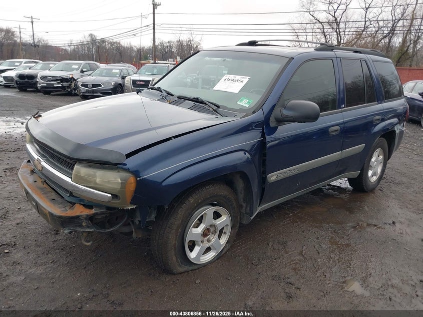 2003 Chevrolet Trailblazer Ls VIN: 1GNDT13S232355716 Lot: 43806856