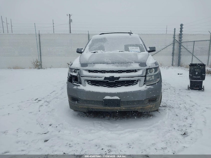 2019 Chevrolet Tahoe Ls VIN: 1GNSKAKC1KR121402 Lot: 43807044