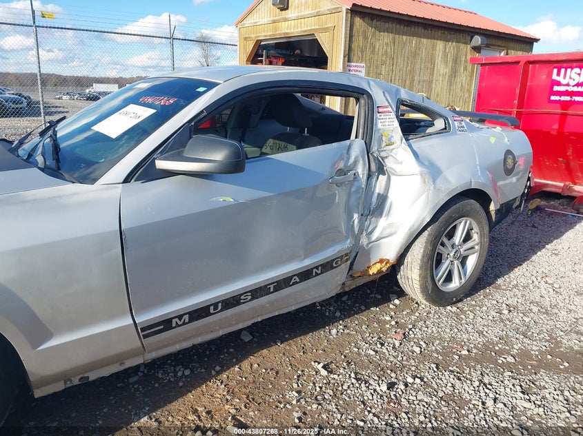 2005 Ford Mustang V6 Deluxe/V6 Premium VIN: 1ZVFT80N555156845 Lot: 43807268