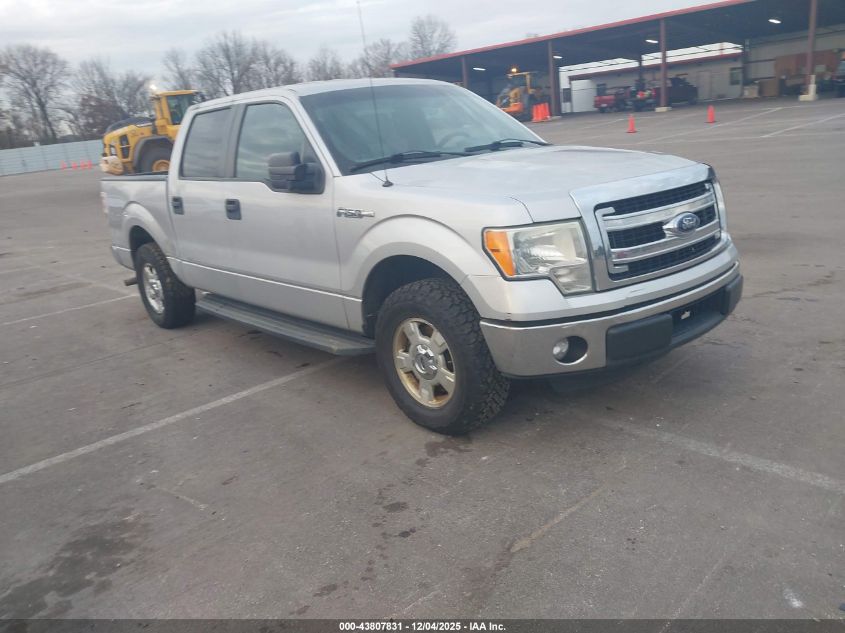 FORD F-150 XLT
