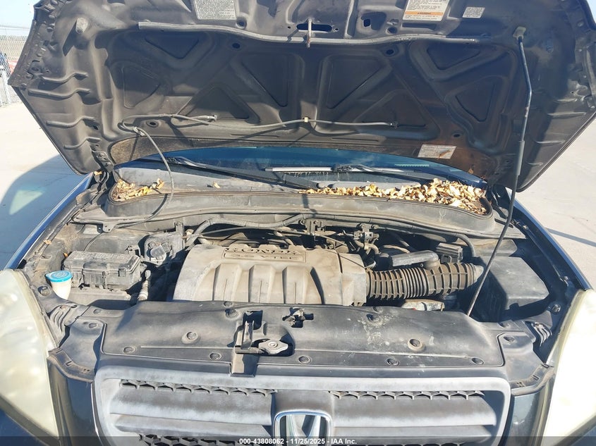 2005 Honda Pilot Ex VIN: 5FNYF184X5B006086 Lot: 43808062