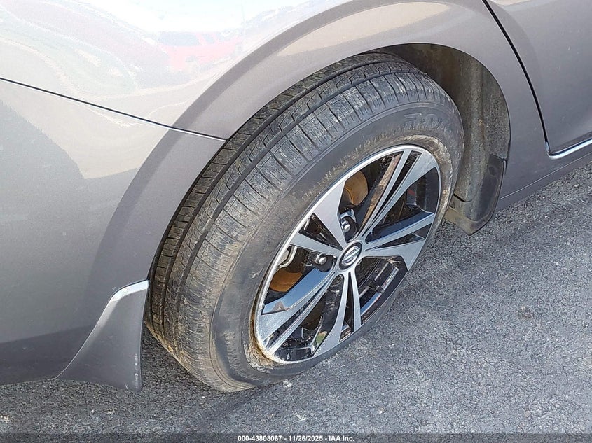 2023 Nissan Sentra VIN: 3N1AB8CB7PY237804 Lot: 43808067