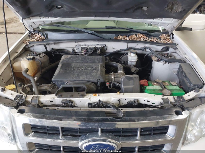 1FMCU94GX9KA49894 2009 FORD ESCAPE photo no. 10