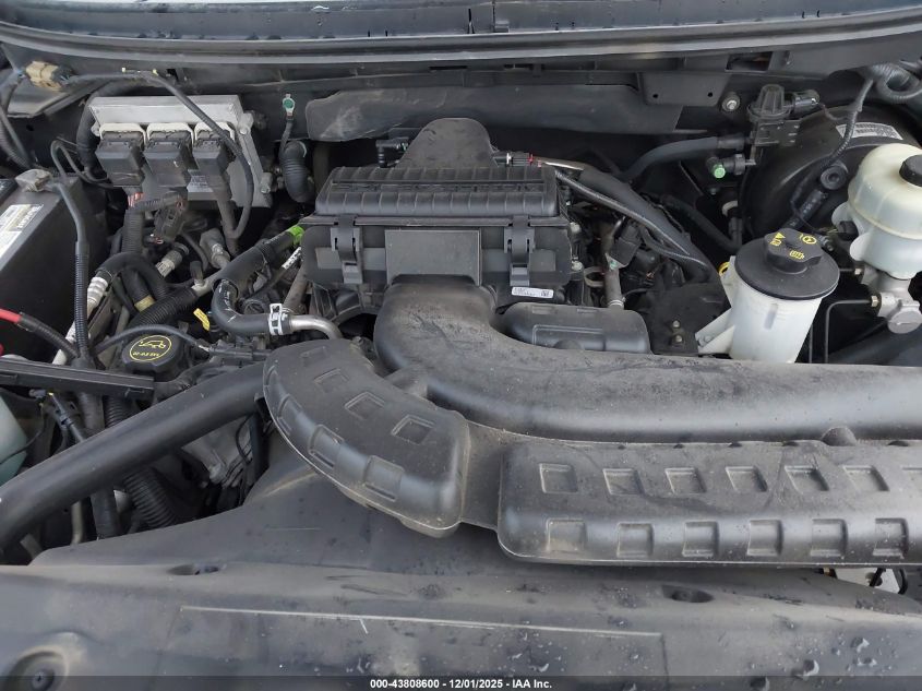 2004 Ford F-150 Lariat/Xlt VIN: 1FTPW12524FA16991 Lot: 43808600