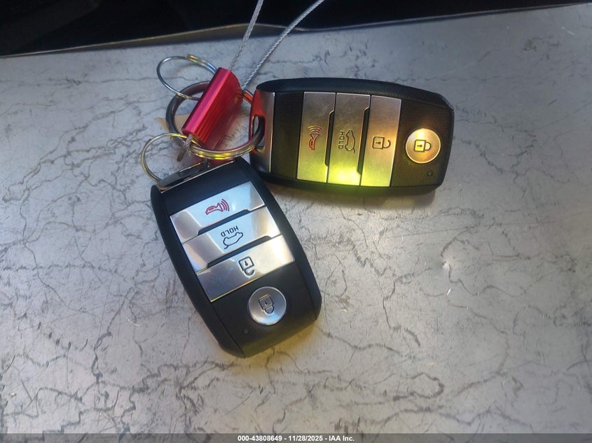 2019 Kia Niro Ev Ex Premium VIN: KNDCE3LGXK5030220 Lot: 43808649