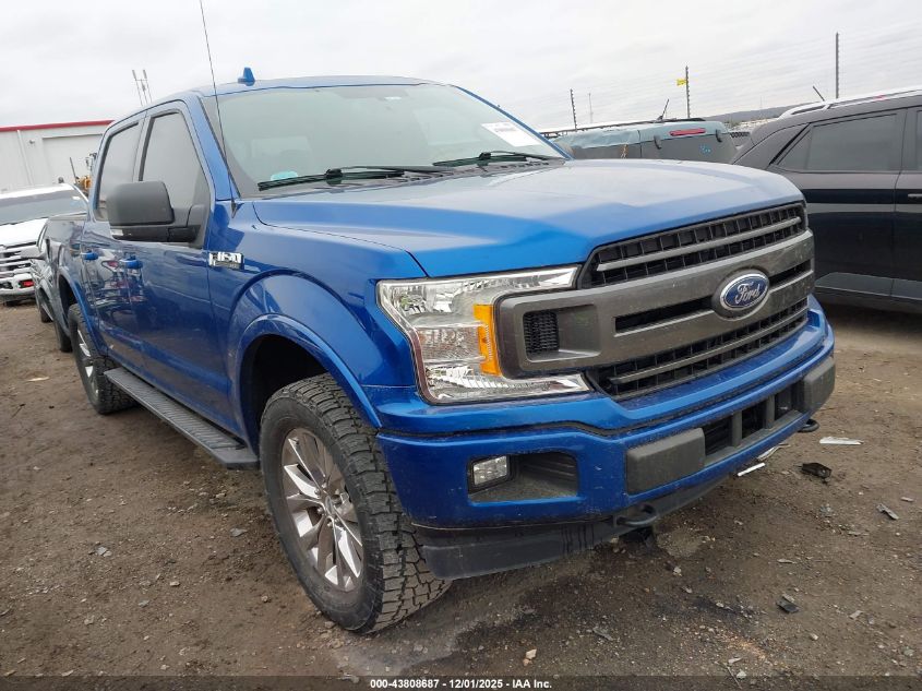 FORD F-150 XLT
