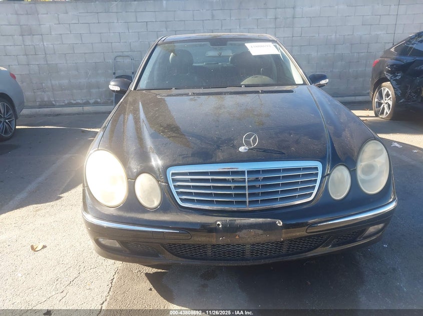 2006 Mercedes-Benz E 500 VIN: WDBUF70J16A871752 Lot: 43808692