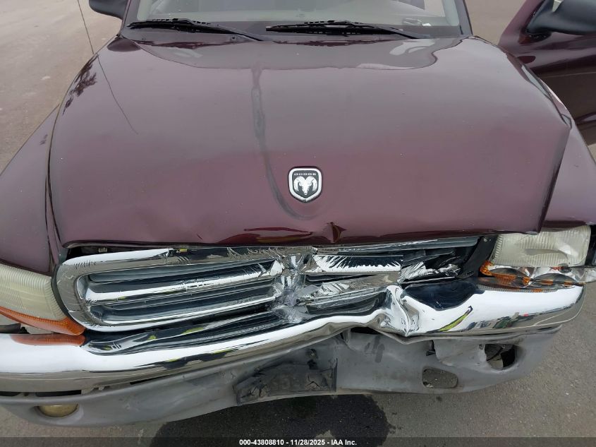 2004 Dodge Dakota Slt VIN: 1D7HG42N54S664504 Lot: 43808810