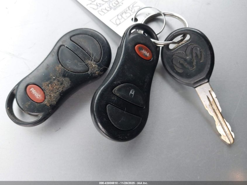 2004 Dodge Dakota Slt VIN: 1D7HG42N54S664504 Lot: 43808810