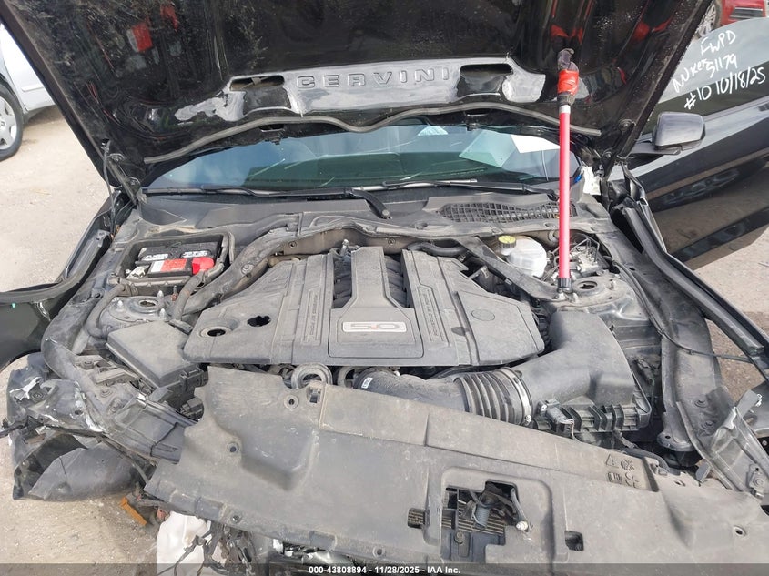 2022 Ford Mustang Gt Premium Fastback VIN: 1FA6P8CF6N5128232 Lot: 43808894