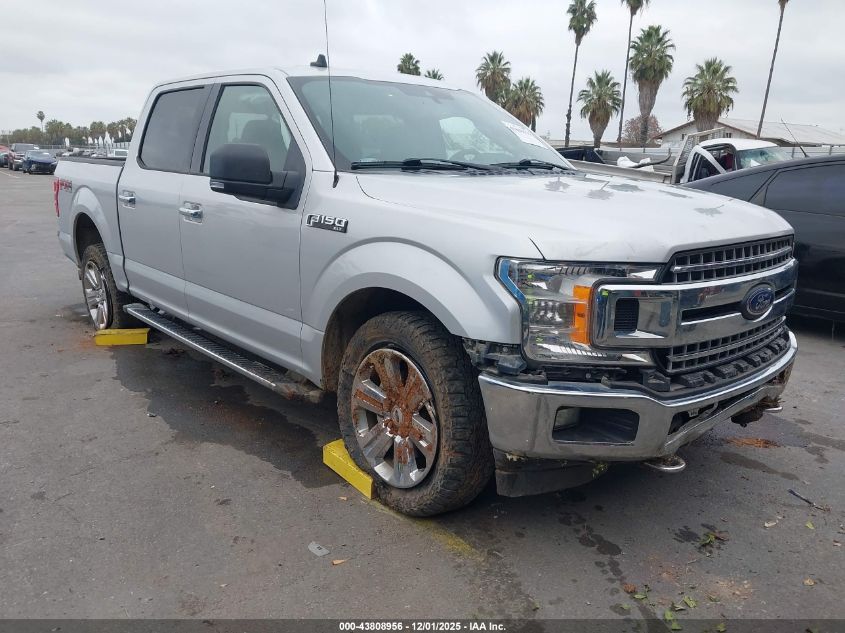 FORD F-150 XLT