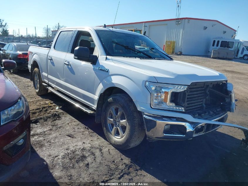 FORD F-150 XLT