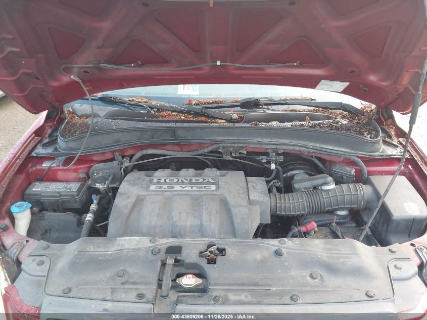 2005 Honda Pilot Ex-L VIN: 5FNYF18645B019627 Lot: 43809206