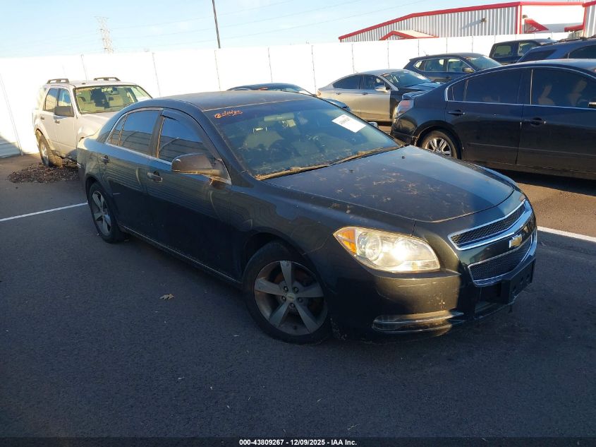 CHEVROLET MALIBU 1LT