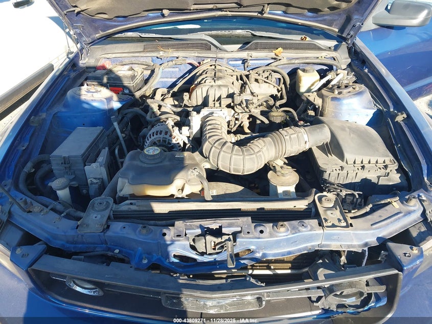 2006 Ford Mustang V6 VIN: 1ZVHT80NX65232392 Lot: 43809271