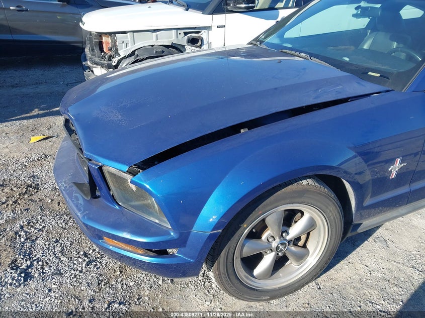2006 Ford Mustang V6 VIN: 1ZVHT80NX65232392 Lot: 43809271