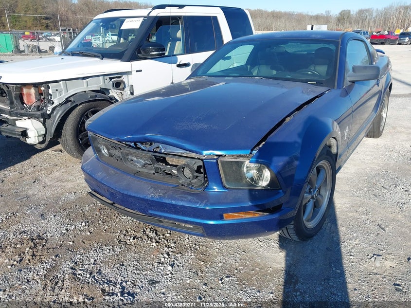 2006 Ford Mustang V6 VIN: 1ZVHT80NX65232392 Lot: 43809271