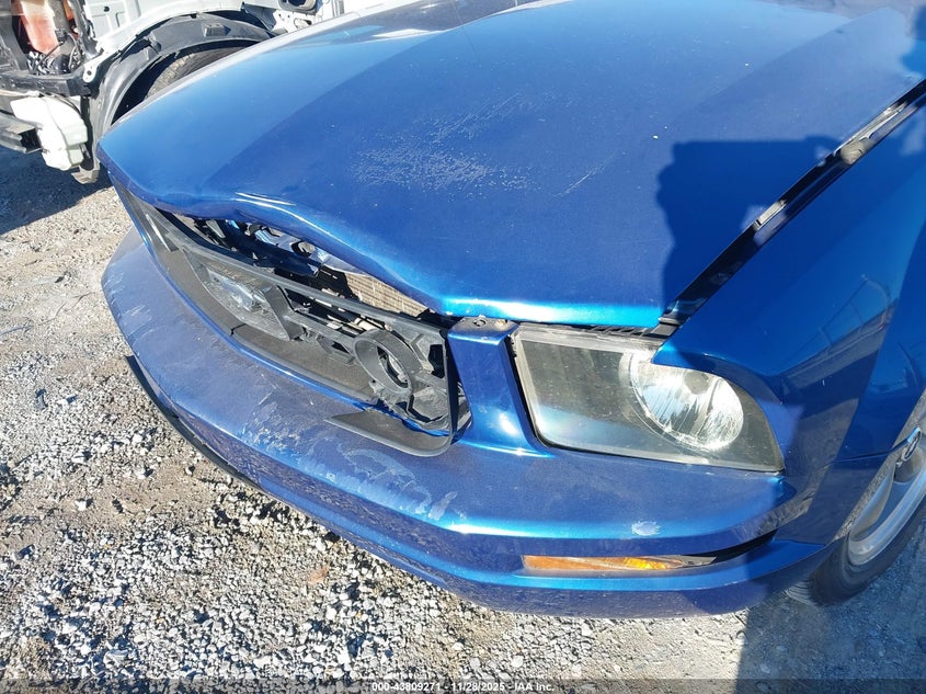 2006 Ford Mustang V6 VIN: 1ZVHT80NX65232392 Lot: 43809271