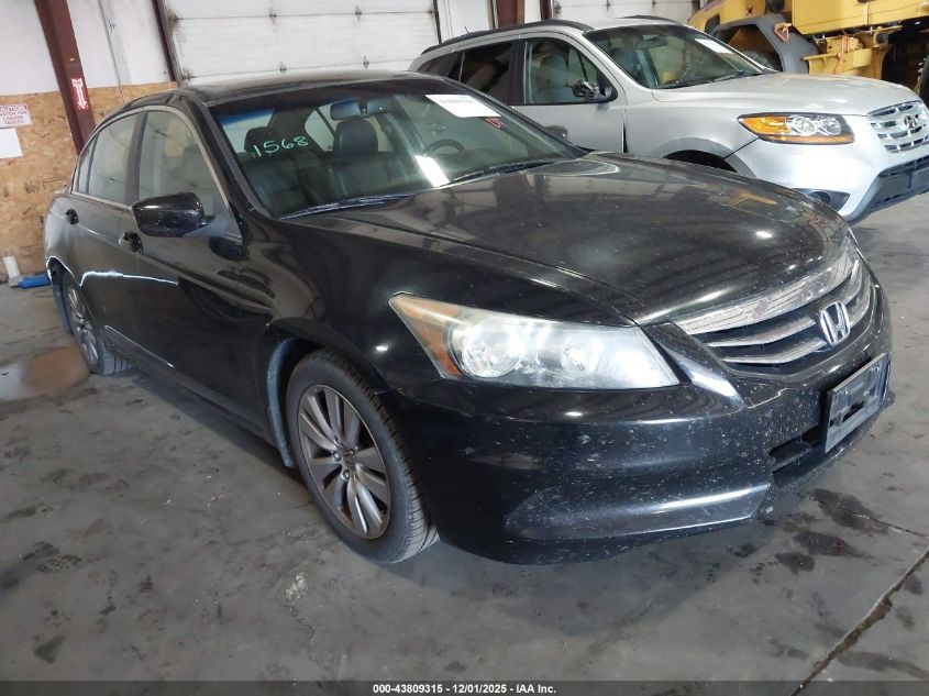 HONDA ACCORD 2.4 EX-L