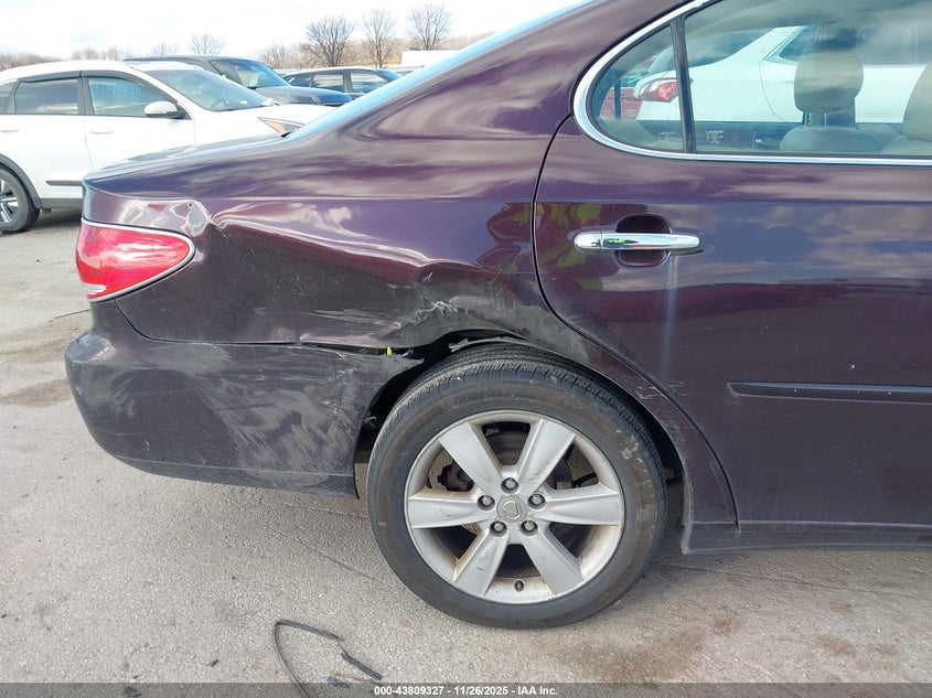 2005 Lexus Es 330 VIN: JTHBA30G955056810 Lot: 43809327