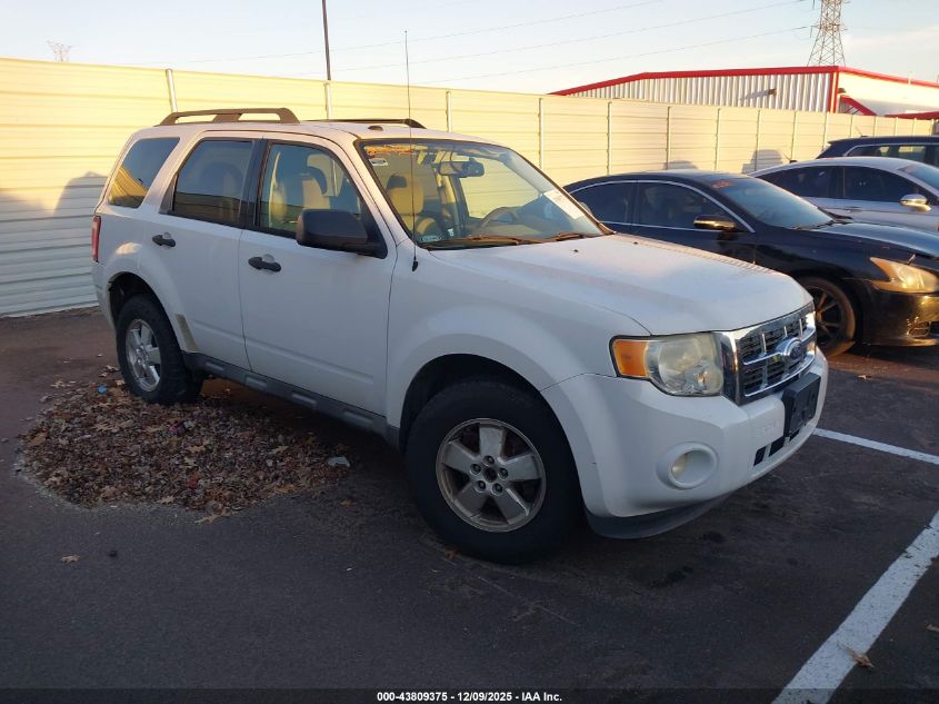 FORD ESCAPE XLT