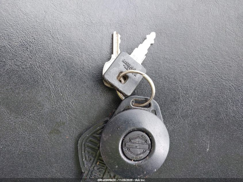 2006 Harley-Davidson Xl1200 C VIN: 1HD1CGP146K435537 Lot: 43809430