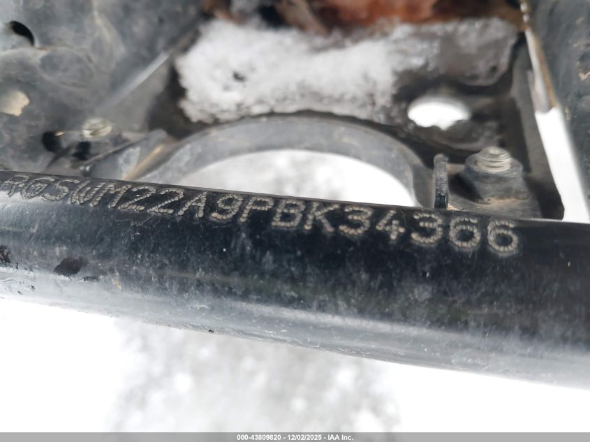 2023 Kawasaki Kvf300 C VIN: RGSWM22A9PBK34366 Lot: 43809820