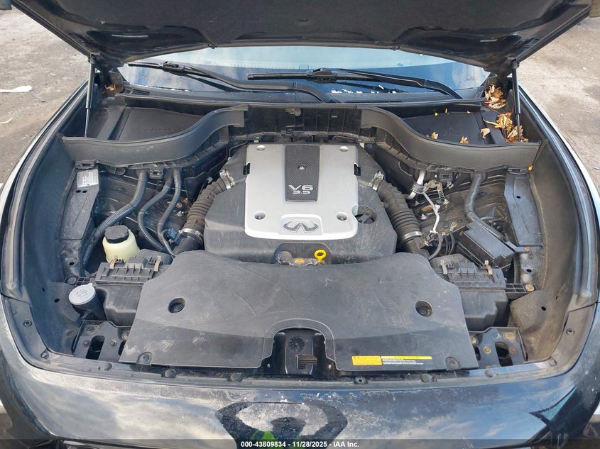 2010 Infiniti Fx35 VIN: JN8AS1MW3AM855390 Lot: 43809834