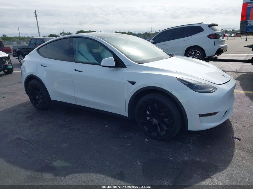 TESLA MODEL Y MODEL Y
