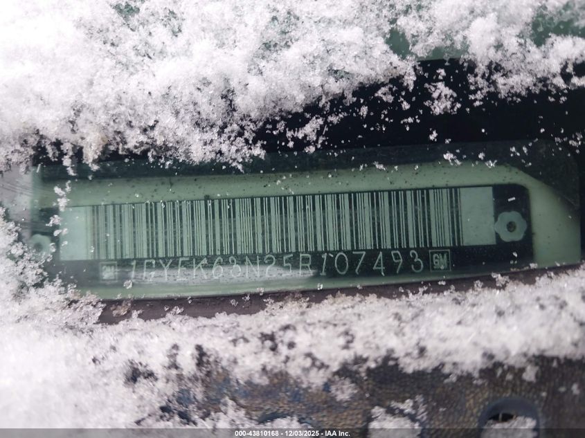 2005 Cadillac Escalade Standard VIN: 1GYEK63N25R107493 Lot: 43810168