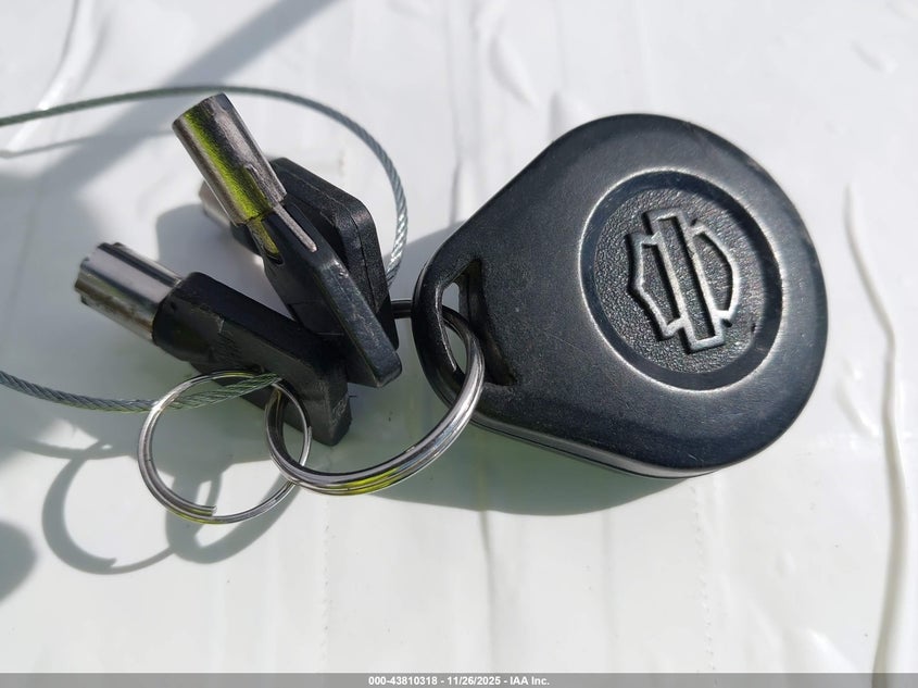 2016 Harley-Davidson Fltrxs Road Glide Special VIN: 1HD1KTM32GB624674 Lot: 43810318