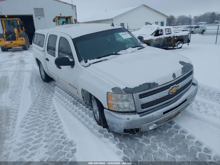 CHEVROLET SILVERADO 1500 LT