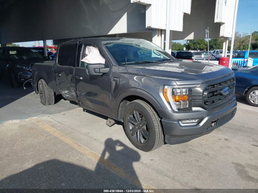 FORD F-150 XLT