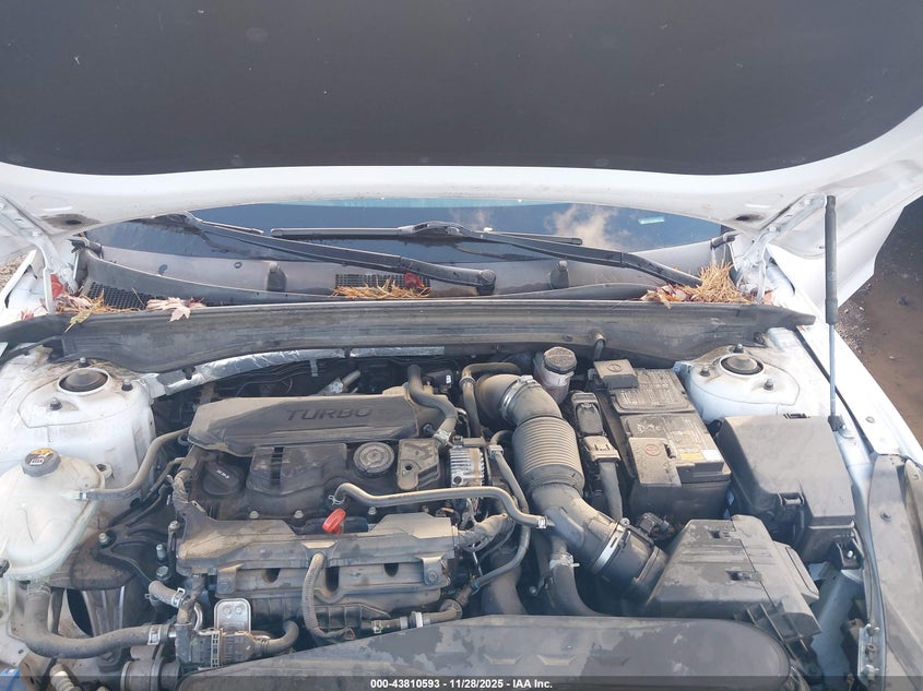 2021 Kia K5 Lxs VIN: 5XXG14J23MG017933 Lot: 43810593