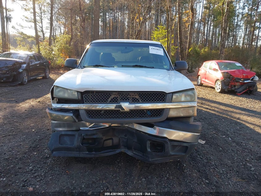 2005 Chevrolet Silverado 1500 Work Truck VIN: 1GCEC19ZX5E236587 Lot: 43810602