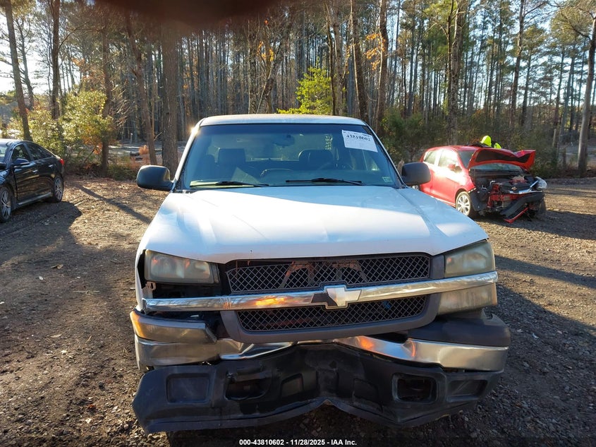 2005 Chevrolet Silverado 1500 Work Truck VIN: 1GCEC19ZX5E236587 Lot: 43810602
