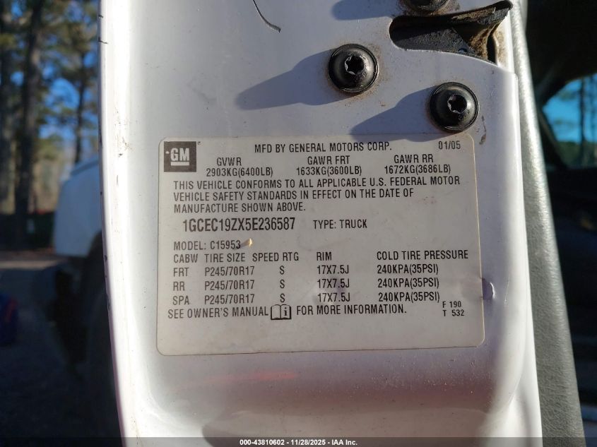2005 Chevrolet Silverado 1500 Work Truck VIN: 1GCEC19ZX5E236587 Lot: 43810602